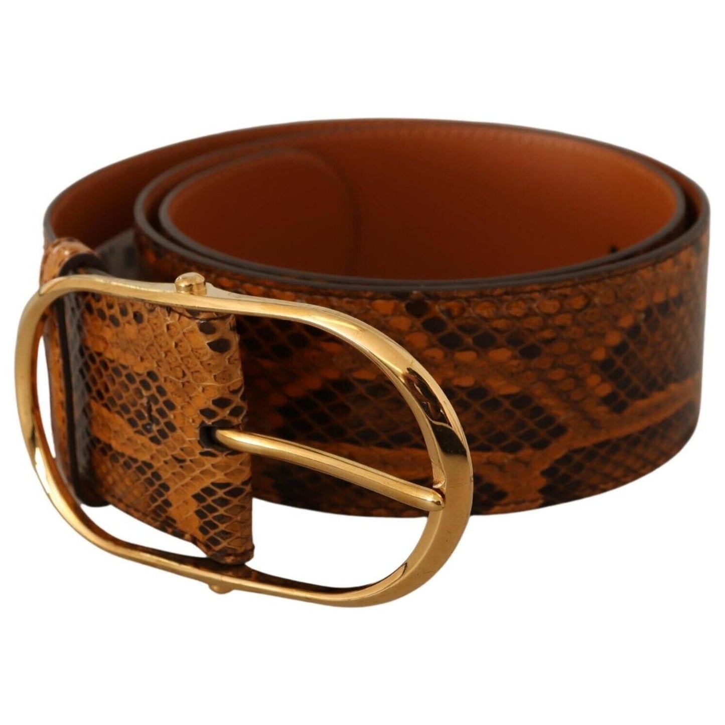 Dolce & Gabbana Elegant Python Skin Leather Belt WOMAN BELTS Dolce & Gabbana