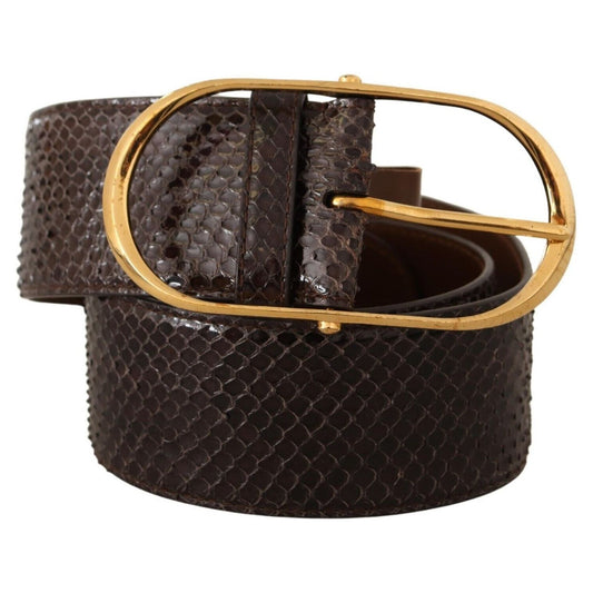 Dolce & Gabbana Elegant Python Leather Belt with Gold Buckle