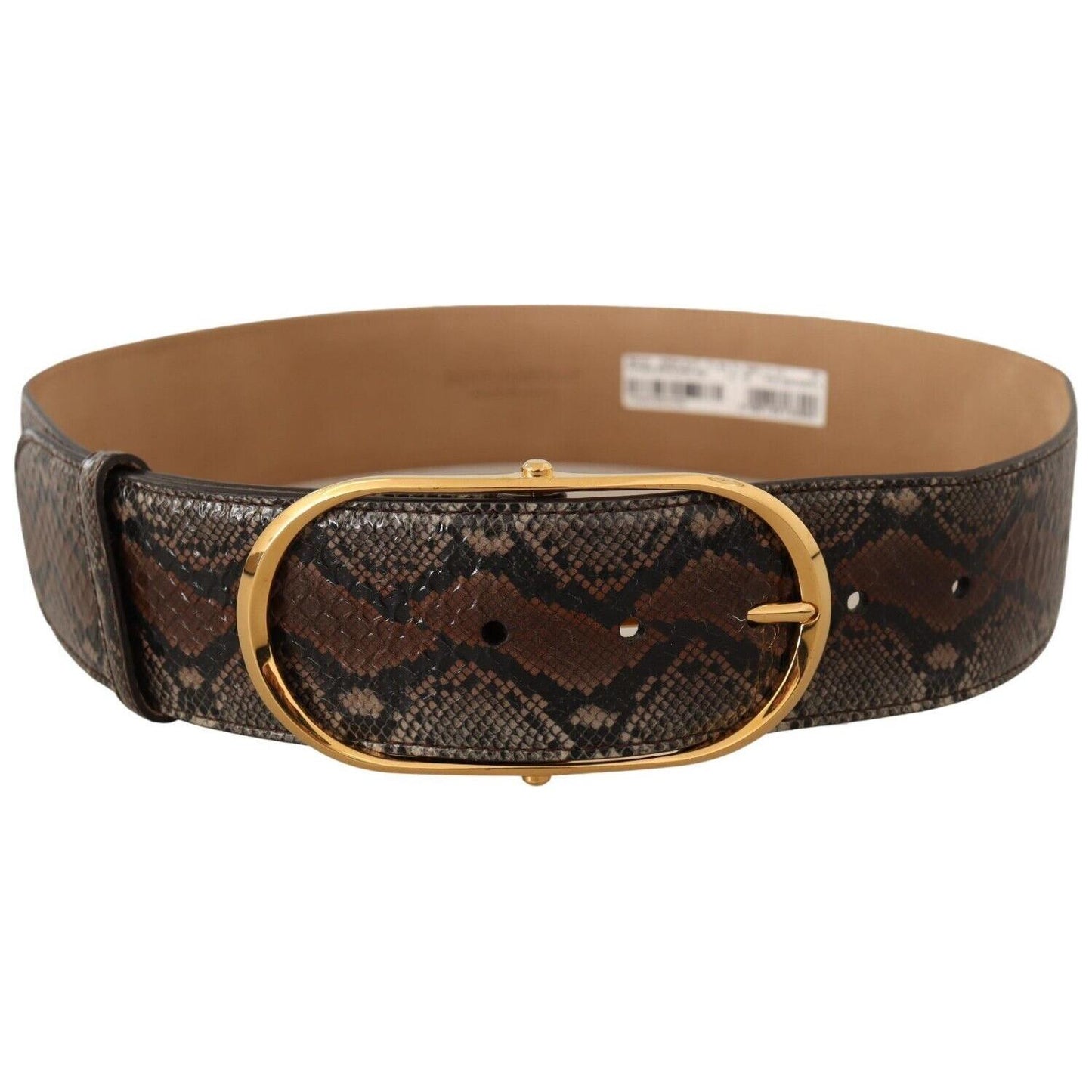 Dolce & Gabbana Elegant Brown Leather Belt with Gold Buckle WOMAN BELTS Dolce & Gabbana