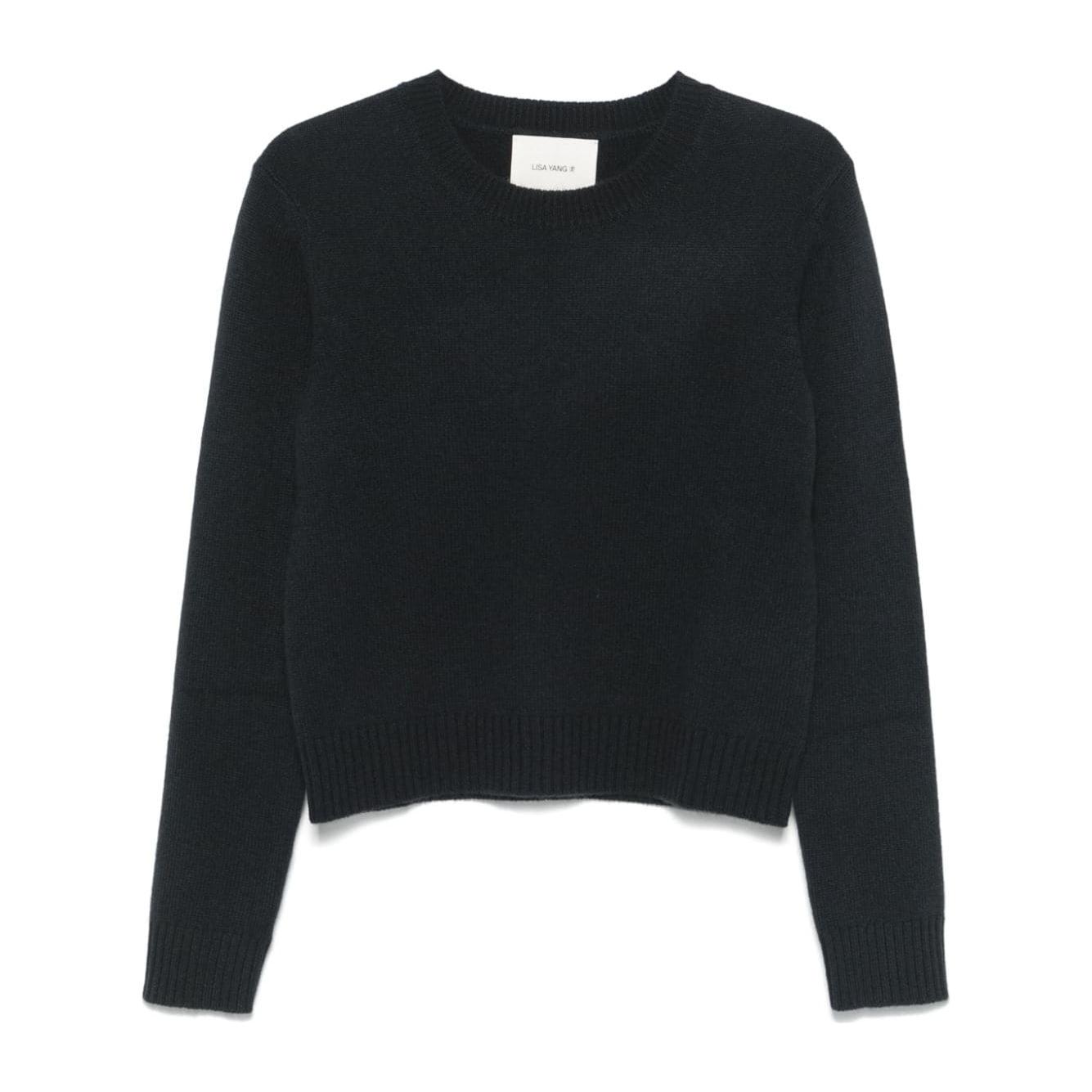 LISA YANG Sweaters Blue Topwear Lisa Yang