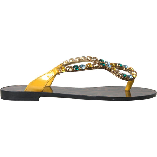 Dolce & Gabbana Mustard Crystal Calf Leather Beachwear Shoes Dolce & Gabbana