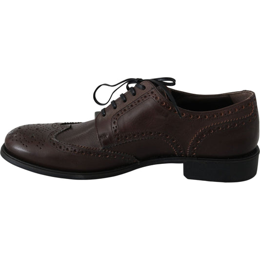 Dolce & Gabbana Elegant Brown Leather Derby Brogues Dolce & Gabbana Black