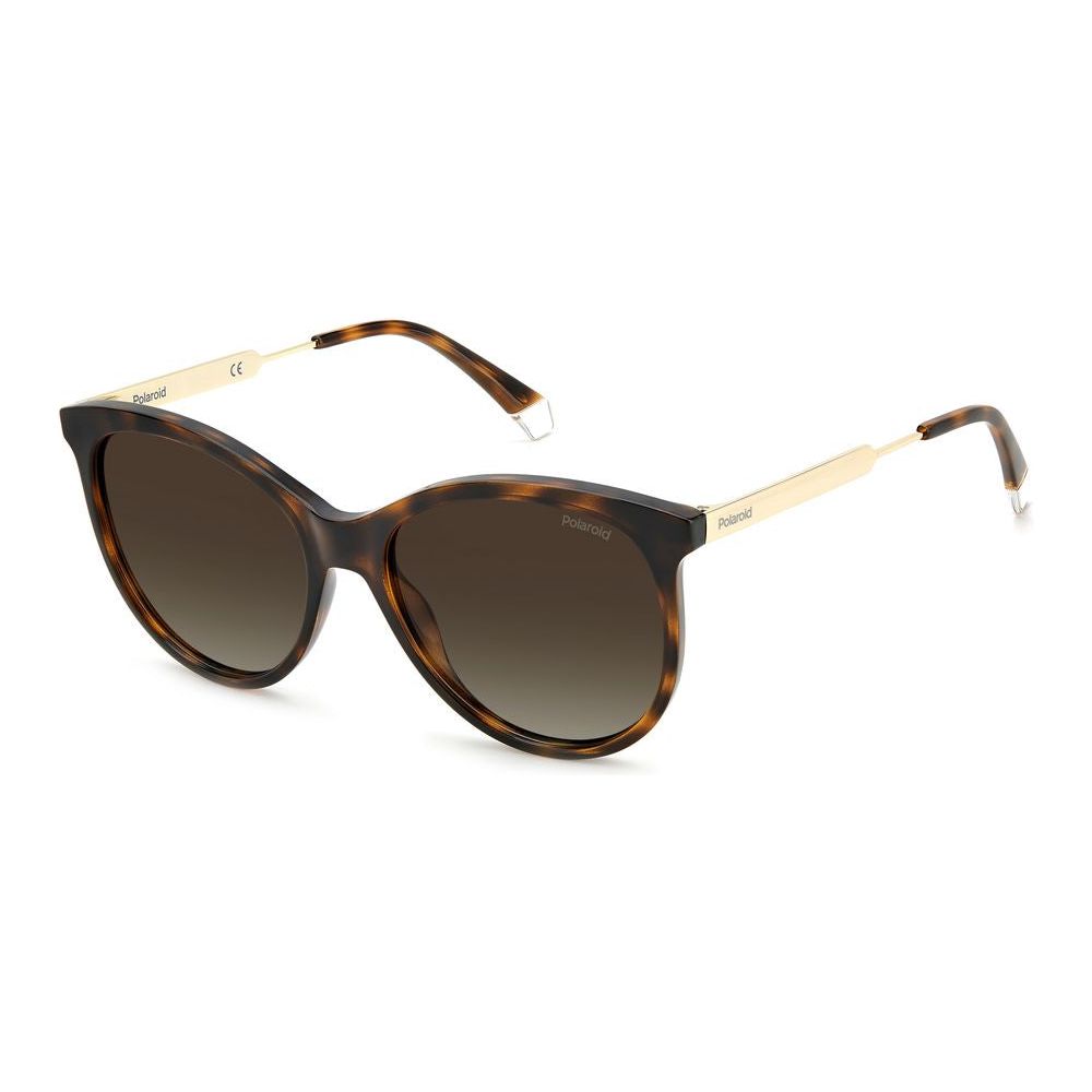 Polaroid Brown Resin Sunglasses Polaroid