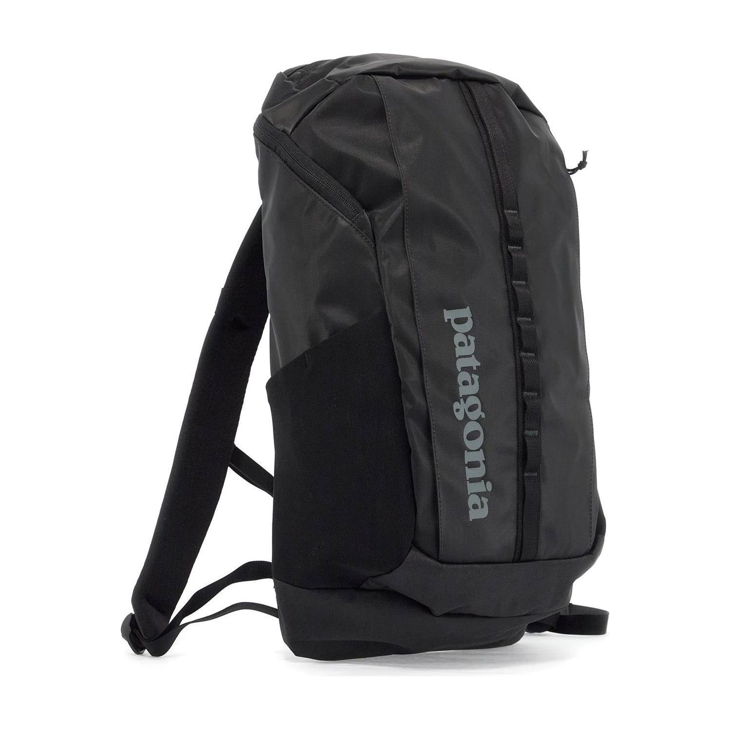 PATAGONIA black holeâ® 25l Backpacks PATAGONIA