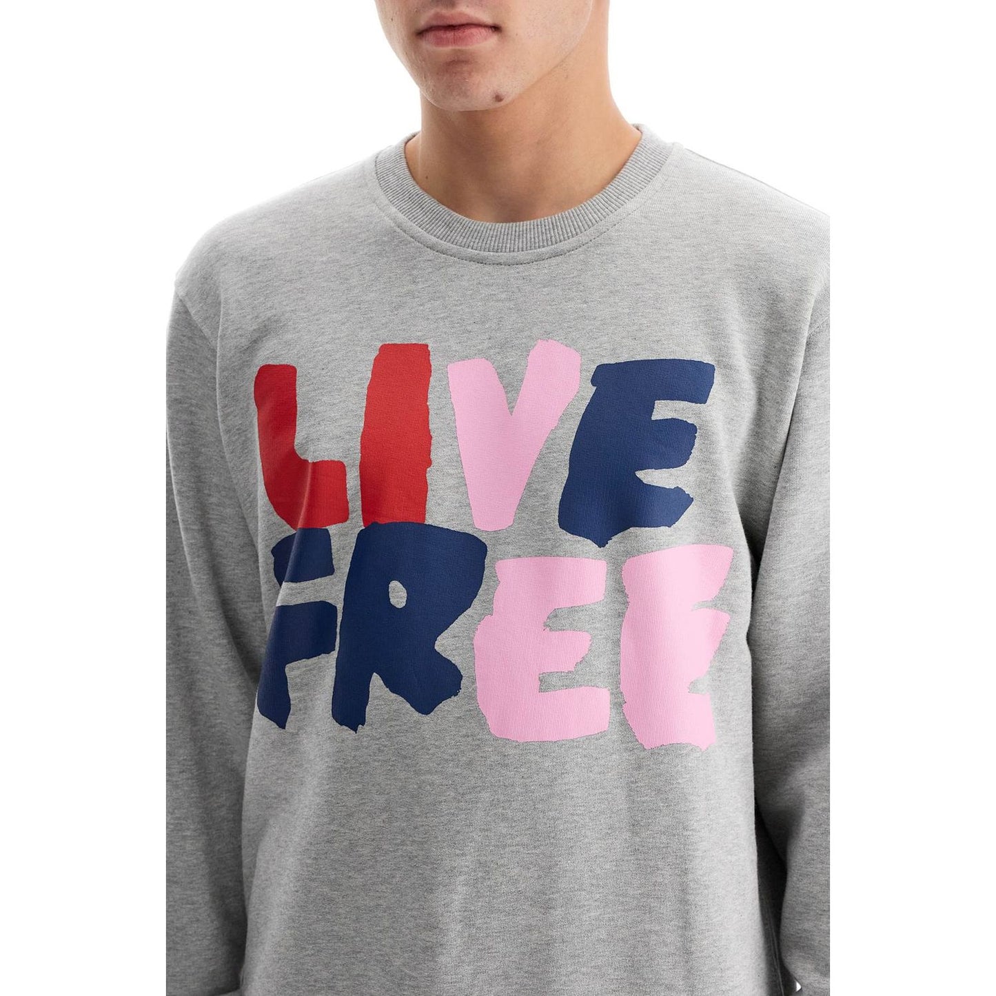 Comme Des Garcons Shirt live free hooded sweat Topwear Comme Des Garcons Shirt